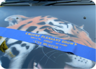 Airbrushing: image 29 of 53 thumb