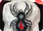 Airbrushing: image 59 of 53 thumb