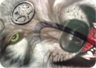 Airbrushing: image 67 of 53 thumb