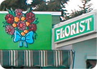 Shopfronts: image 19 of 28 thumb